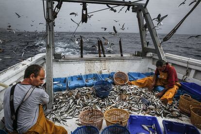 Dos marineros clasifican la pesca a bordo del 'San Pedro' en aguas cercanas a Vila Joiosa (Alicante).