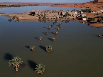 Una imagen de dron tomada en Merzouga (Marruecos) muestra palmeras y dunas inundadas en el desierto del Sáhara el jueves 24 de octubre de 2024.