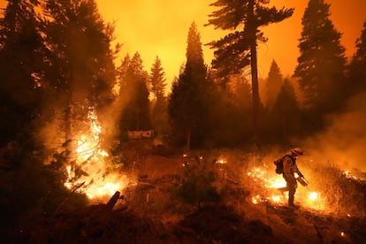 Un bombero enciende un pequeño foco para controlar el incendio en Shaver Lake (California).