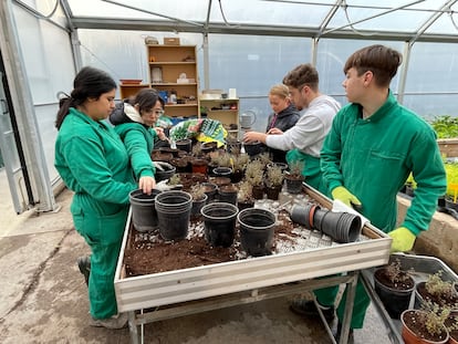 Alumnos del PCI de Agrojardinería en el IES Ramón y Cajal (Zaragoza).