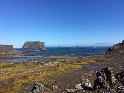 Dos investigadores caminan por la bahía Fildes, en la isla Rey Jorge, en el extremo norte de la península antártica.