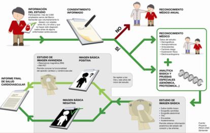 Protocolo del estudio PESA del CNIC y del Grupo Santander