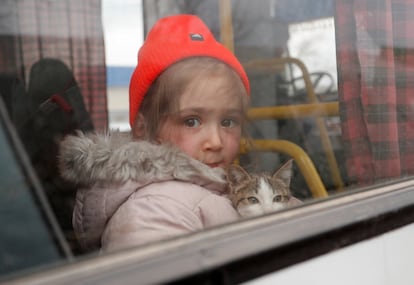 Rimma, una niña de tres años evacuada del área de Mariupol, sostiene un gato en un autobús antes de salir de un campo de refugiados en Bezymennoye, el 8 de marzo.