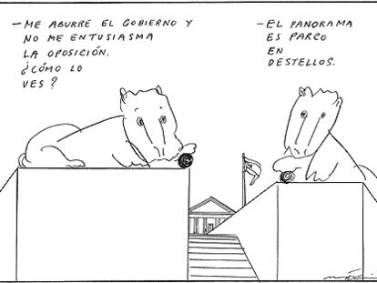 MÁXIMO
