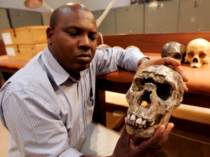 El doctor Frederick Kyalo Manthi muestra un modelo en yeso del cráneo del "Niño de Turkana" que forma parte de una exposición en el Museo Nacional de Kenia.