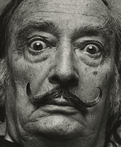 El pintor español, Salvador Dalí, en noviembre de 1978.