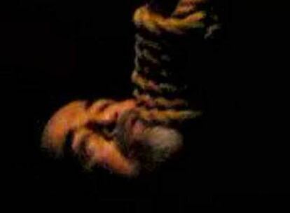 Imágen de Sadam tras la ejecución.