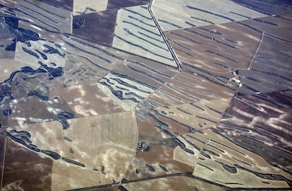 Lines of trees can be seen amongst drought effected farmland in South Australia, November 12, 2015. A pioneering Australian scheme to improve the management of water in the world's driest inhabited continent is facing its first real test as an intensifying El Nino threatens crops and builds tensions between farmers and environmentalists. An El Nino, a warming of sea-surface temperatures in the Pacific, is already causing drought and other extreme weather, affecting millions of people across parts of the world, and experts warn that the intensifying weather pattern could emerge as one of the strongest on record.     REUTERS/David Gray      