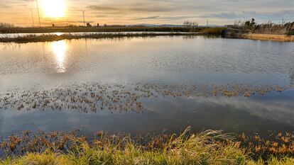 La Albufera de Valencia.