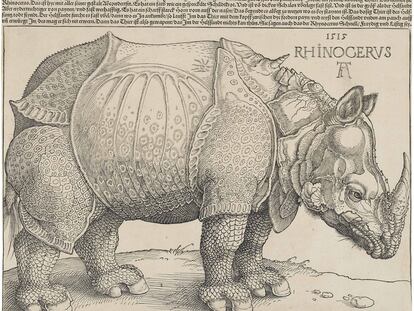 Rinoceronte (1515)