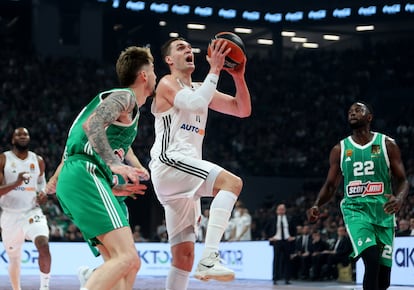 Hezonja, del Madrid, entra a canasta en el duelo de la pasada jornada ante el Panathinaikos.