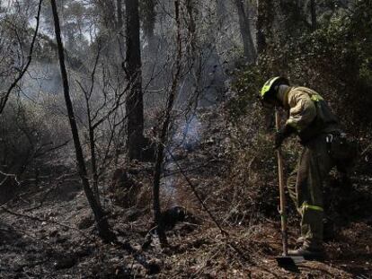 Un brigadista repasa el terreno incendiado.