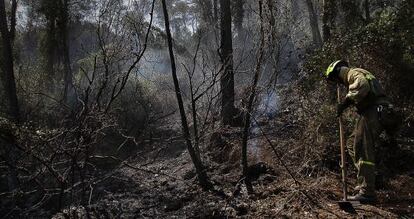 Un brigadista repasa el terreno incendiado.