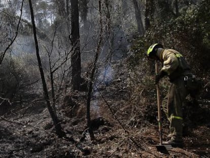 Un brigadista repasa el terreno incendiado.