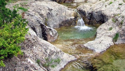 El Toll de l'Ou és un dels llocs més singulars del Parc Natural de la Serra del Montsant. Està situat al Barranc dels Pèlags, prop de la Mola, a la comarca del Priorat. El gorg sol tenir aigua gairebé tot l’any. Malgrat que s'hi acostuma a arribar després de fer una bona suada caminant, és durant la primavera i l'estiu quan ve més de gust posar-se a l'aigua. El gorg està format per diverses basses excavades a la roca i unides per petites cascades. S’hi pot arribar des del poble d’Ulldemolins pel GR-171, passant per l’ermita de Santa Magdalena, direcció al Pi de la Carabasseta, des d’on s’agafa un sender que baixa fins a aquest indret. També s’hi pot accedir des de la Morera de Montsant seguint el GR-171.