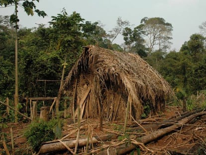 Cabaña de paja del hombre del agujero, en el territorio indígena Tanaru del estado brasileño de Rondônia.