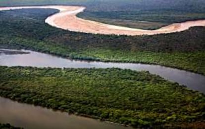 Vista aérea de El Impenetrable, en Argentina, zona que está a punto de convertirse en parque nacional.