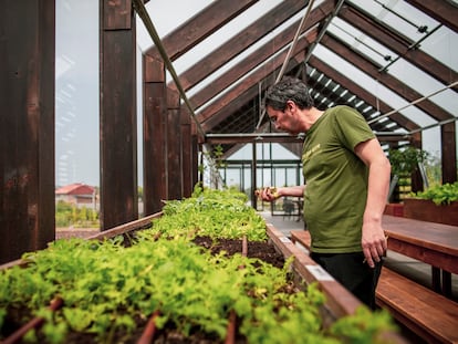 Javier Olleros, del restaurante Culler de Pau, en O Grove (Pontevedra), inaugura el invernadero y da continuidad a su huerto situado al pie del restaurante con dos estrellas Michelin, a mediados de junio de 2022.