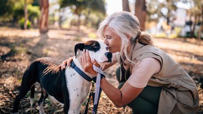 El pelaje de tu perro estará limpio y libre de parásitos durante meses. GETTY IMAGES.