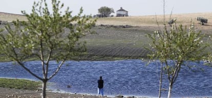 El encharcamiento de agua en el antiguo cauce del Guadiana, junto al Molino de Zuacorta, el martes pasado.