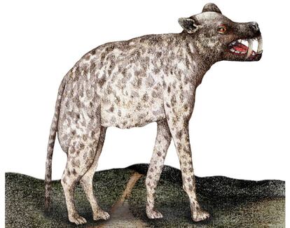 El dip, gos de Satanàs associat als vampirs, vist per Maria Padilla.
