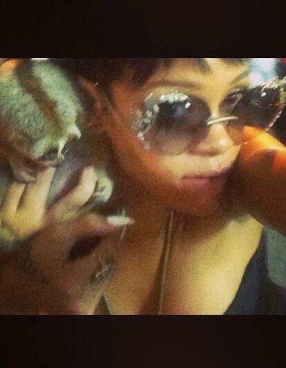 El polémico 'selfie' de Rihanna posando con un mono en peligro de extinición desencadenó acciones legales contra dos hombres por supuesto trágico ilegal de animales.