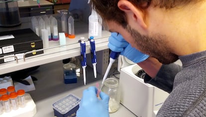 Un investigador en un laboratorio de la Universidad de Castilla-La Mancha.