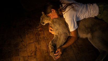 Kai Pacha junto a Estanislao Monte, un puma ciego al que ella le salvó la vida