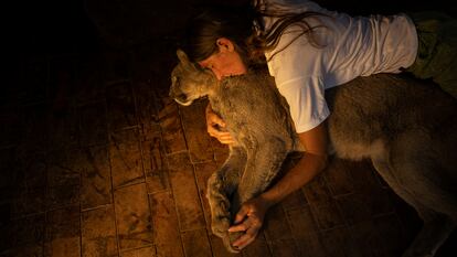 Kai Pacha junto a Estanislao Monte, un puma ciego al que ella le salvó la vida