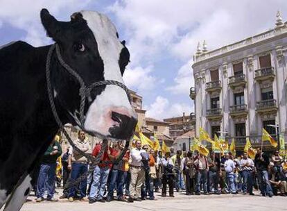 Manifestación de agricultores y ganaderos convocada por el sindicato COAG en Zamora.