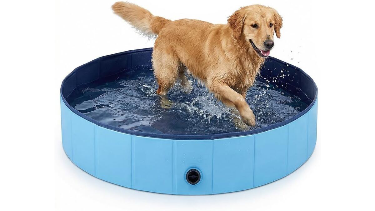 Folding pool.