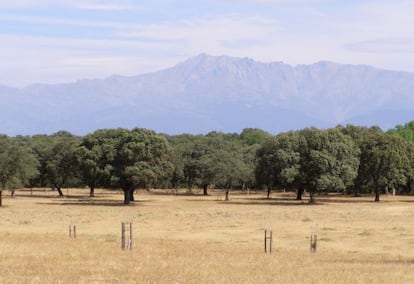 The Dehesón del Encinar in Toledo province is under threat of being sold, says Ecologists in Action.