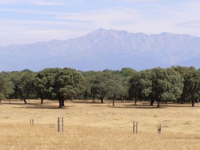 The Dehesón del Encinar in Toledo province is under threat of being sold, says Ecologists in Action.