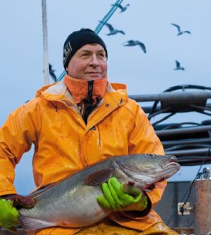 Trond Dalgard, de 51 años, con un bacalao skrei recién capturado en aguas del Ártico por las inmediaciones de las islas Lofoten, al norte de Noruega