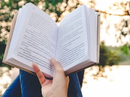 Estos son los libros que Guindos, Calviño, Pallete y Galán se llevan a la playa