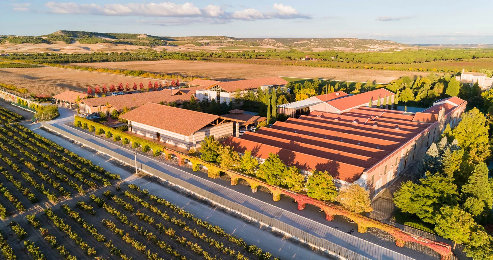 La dueña de Vega Sicilia reduce ventas y beneficios en un año de caída de su negocio vitivinícola