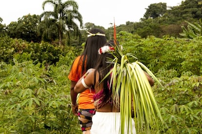 Omee significa territorio en la lengua wao. Las mujeres waorani cultivan y protegen su territorio mediante los proyectos de chocolate y artesanías que han forjado a través de la Asociación de Mujeres Waorani de la Amazonia Ecuatoriana (AMWAE). Tanto el  cacao como la chambira son plantados y recolectados en la chakra (espacio para cultivar varios alimentos que se encuentra cerca de las casas de cada familia). Posteriormente se realizan varios procedimientos para obtener los productos finales que estas mujeres comercializan. 