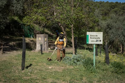 Trabajos de desbroce en una zona con barbacoas de los Montes de Málaga.