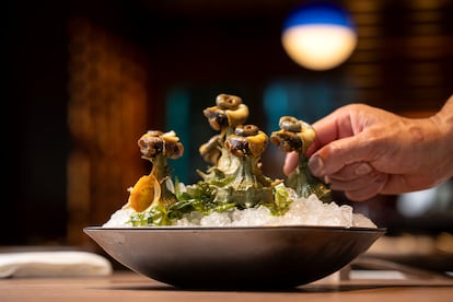 Búsanos, uno de los platos de Los Marinos José.
