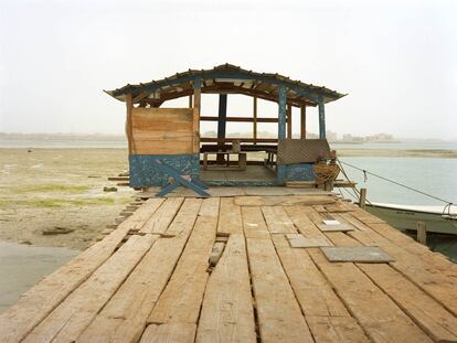 ¿Leones no fieros?  Sobre la Bienal de Venecia