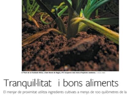 Foto de la portada del PDF