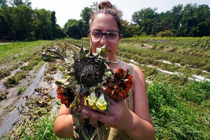 Melanie Guild, development director of Intervale Community Farm