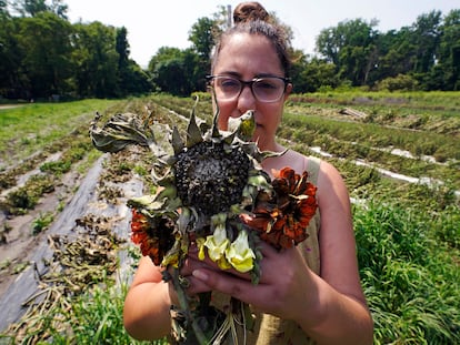 Melanie Guild, development director of Intervale Community Farm, holds a bouquet of mud covered flowers, part of crop destroyed when flood waters of the Winooski River overflowed into the 360 acre farm, Monday, July 17, 2023, in Burlington, Vt. (AP Photo/Charles Krupa)