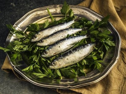 ¿Proteínas y grasas? No: sardinas