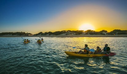 Excursión en Kayak por las marismas de la bahía de Cádiz.