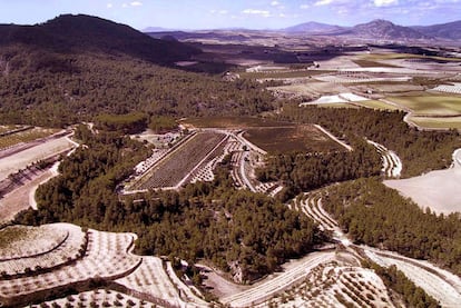 Vista panormica de la zona  de Les Alcusses, en Moixent.