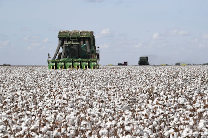 Cosechadoras de algodón en el municipio de Cristalina, en el estado de Goiás, Brasil.