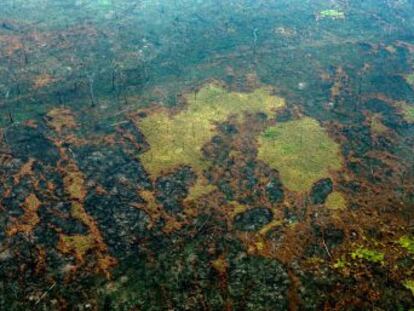 Presidente brasileiro recua após membros do Governo informarem que os 20 milhões de dólares oferecidos para auxiliar no combate aos incêndios na Amazônia seriam rejeitados