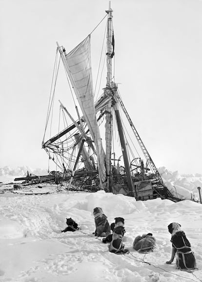 <b>O <i>Endurance</i>, aprisionado pelo gelo, a 300 milhas de terra firme.</b> <br/> <a href="https://www.atlasgallery.com/exhibition/endurance-great-white-silence-antarctic-photographs-herbert-ponting-frank-hurley-captain-scott"><i>Endurance and The Great White Silence</i></a> reúne as fotografias de Ponting e Hurley junto com as do Capitão Scott pela primeira vez. Imagens que constituem o primeiro capítulo da fotografia polar. A exposição foi organizada pela galeria britânica Atlas. Devido ao fechamento temporário motivado pela pandemia, as imagens podem ser visualizadas em seu site.