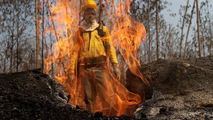 Um bombeiro observa as chamas durante os combates dos incêndios na Amazônia.